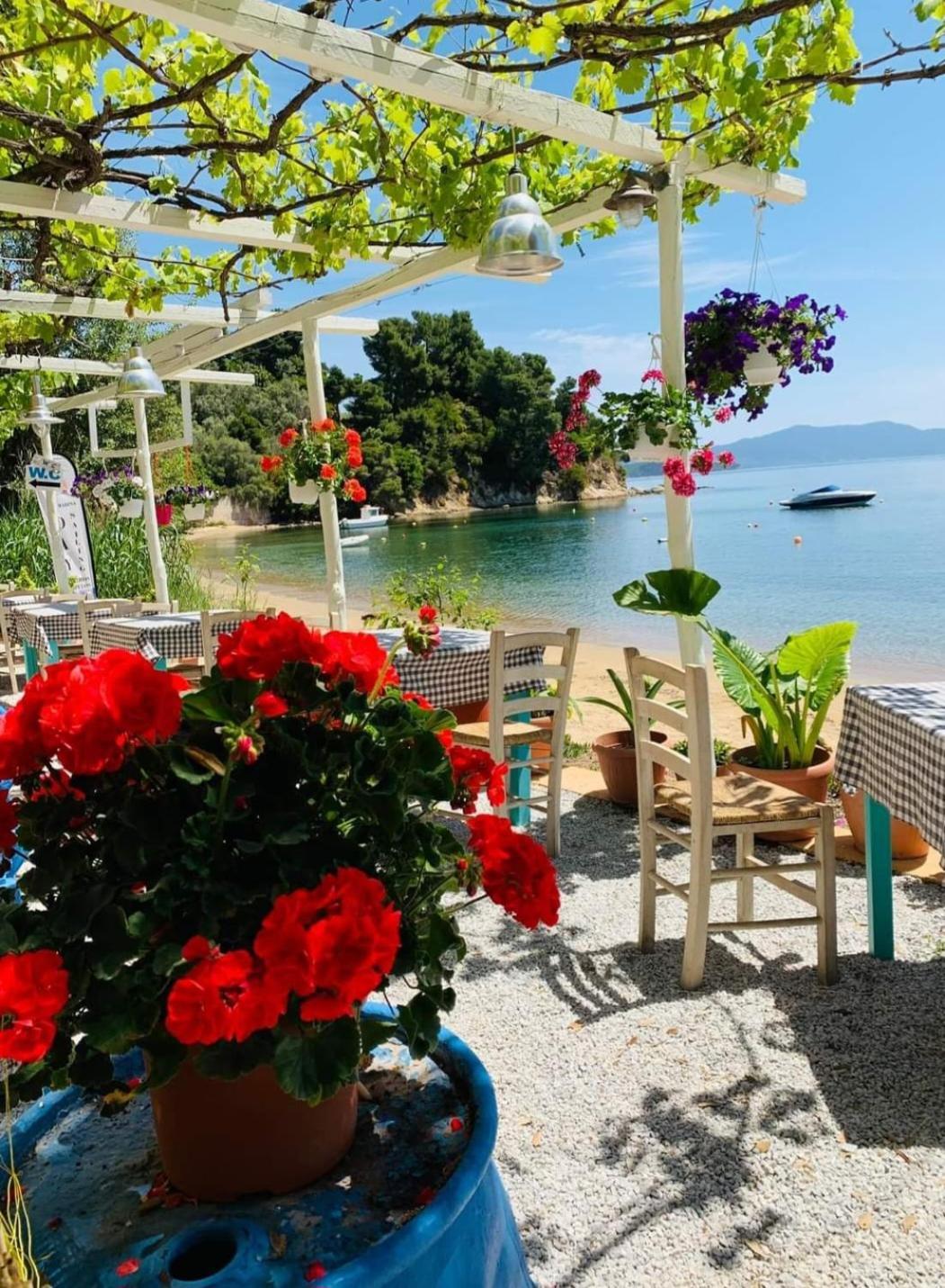 Angel Studio Lägenhet Skiathos stad Exteriör bild